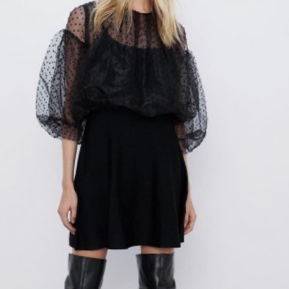 Zara Dresses & Skirts - NWT ZARA Black Sheer Chiffon Clip Dot Knit Contrast A Line Mini Dress Small $59